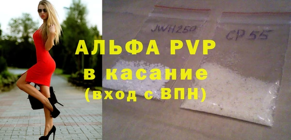 МДПВ Бородино