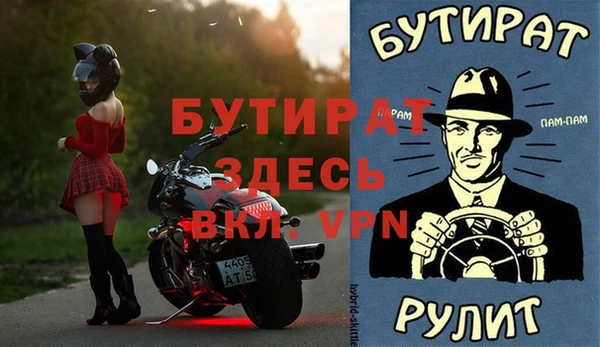 МДПВ Бородино