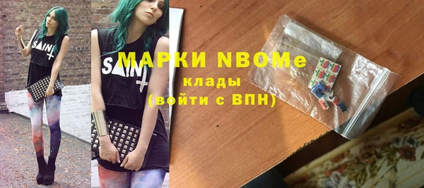 МДПВ Бородино