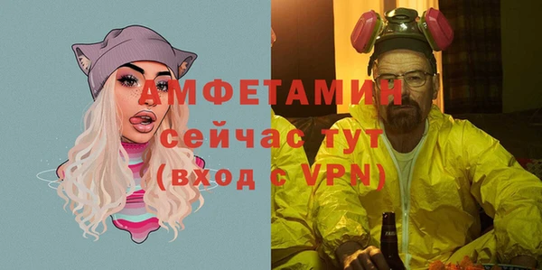 МДПВ Бородино