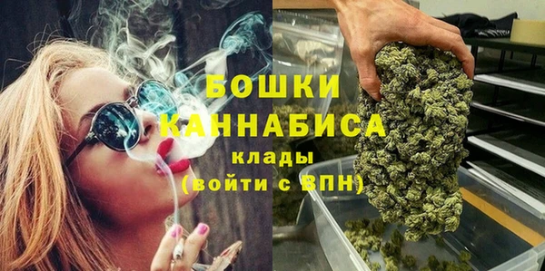 МДПВ Бородино