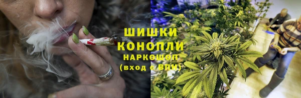 МДПВ Бородино